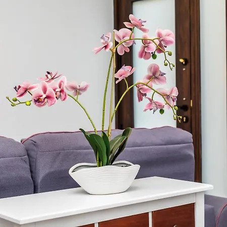 Noguera Loft 